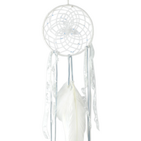 Season Change Winter Dreamcatcher