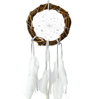 Season Change Natural Twig Winter Dreamcatcher